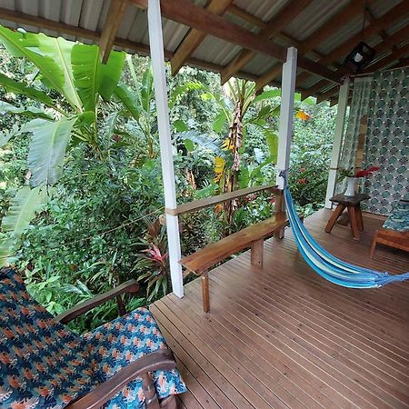 Casa Lina Sloth View Exotic Apartment With Privat Kitchen Puerto Viejo de Talamanca Eksteriør bilde