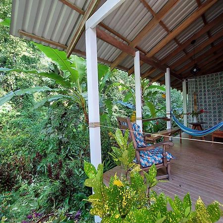 Casa Lina Sloth View Exotic Apartment With Privat Kitchen Puerto Viejo de Talamanca Eksteriør bilde