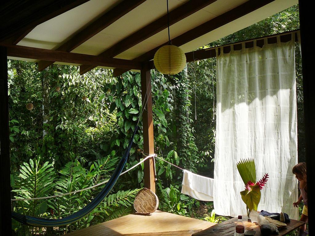 Casa Lina Sloth View Exotic Apartment With Privat Kitchen Puerto Viejo de Talamanca Rom bilde