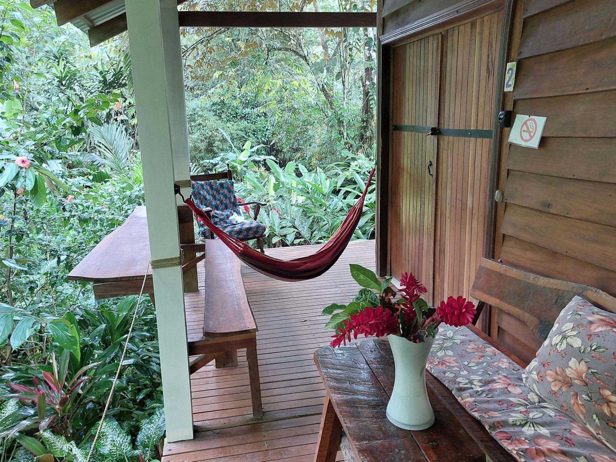 Casa Lina Sloth View Exotic Apartment With Privat Kitchen Puerto Viejo de Talamanca Eksteriør bilde