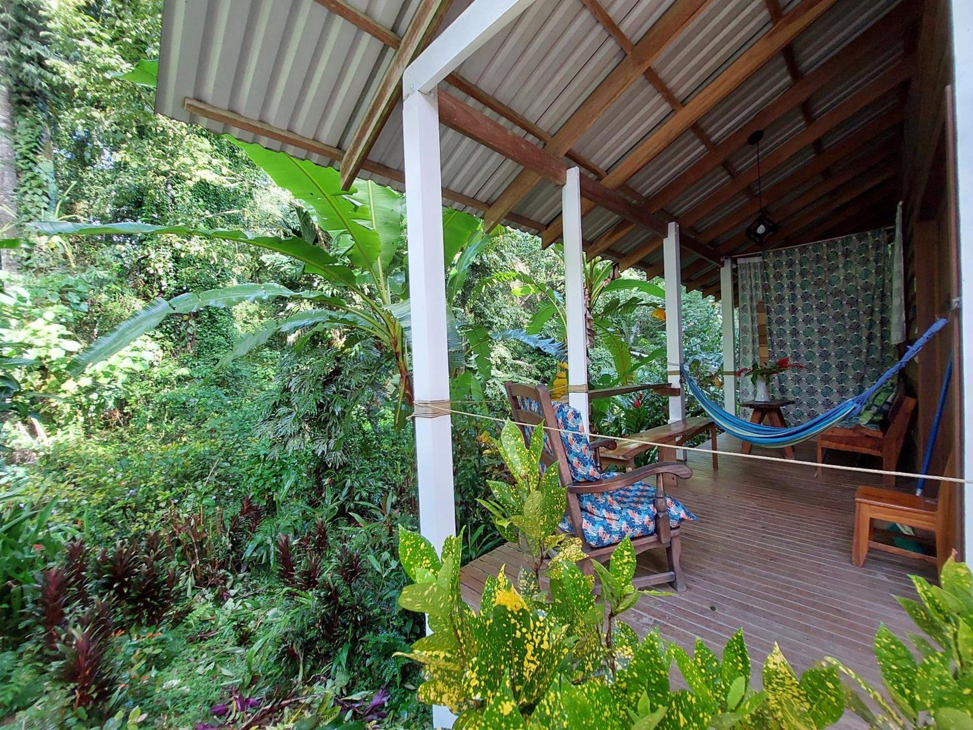 Casa Lina Sloth View Exotic Apartment With Privat Kitchen Puerto Viejo de Talamanca Eksteriør bilde