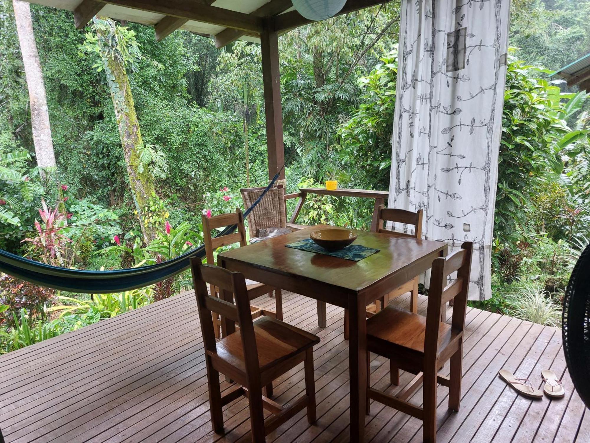 Casa Lina Sloth View Exotic Apartment With Privat Kitchen Puerto Viejo de Talamanca Eksteriør bilde