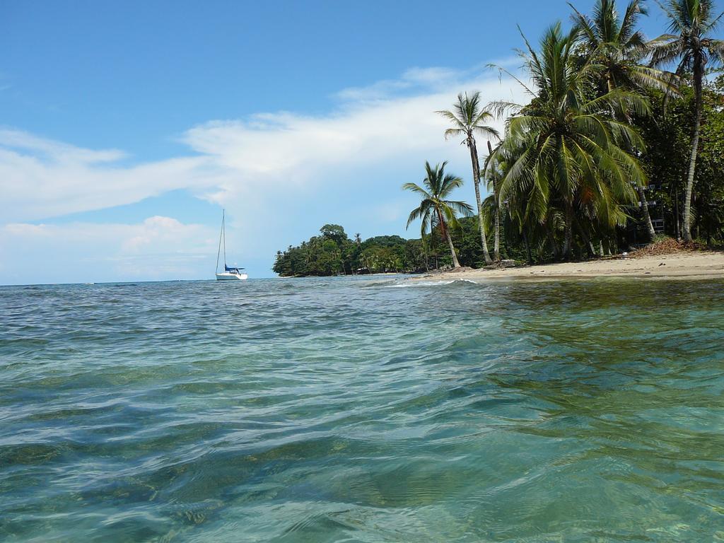 Casa Lina Sloth View Exotic Apartment With Privat Kitchen Puerto Viejo de Talamanca Rom bilde