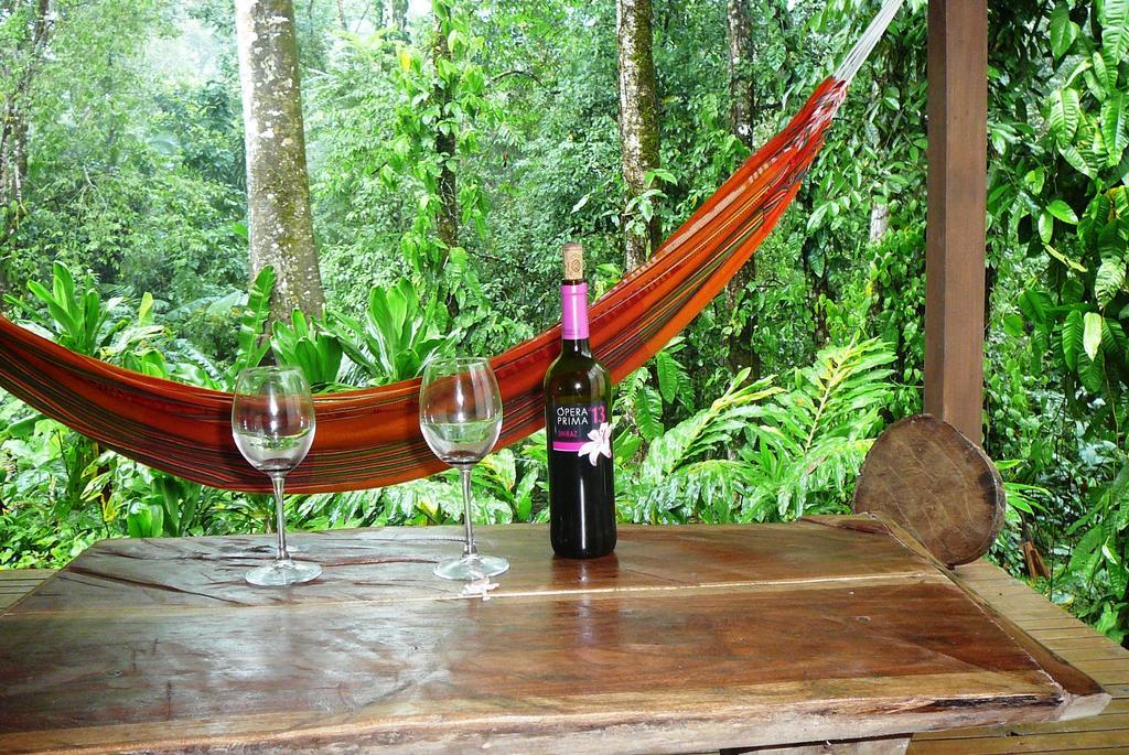 Casa Lina Sloth View Exotic Apartment With Privat Kitchen Puerto Viejo de Talamanca Rom bilde