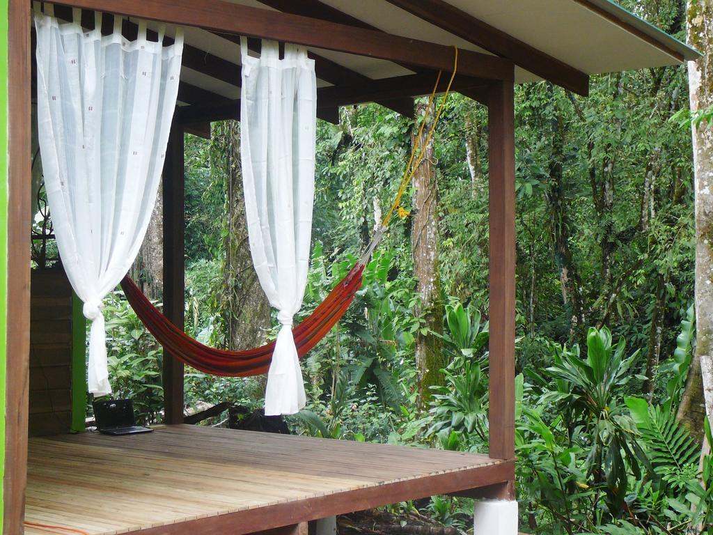 Casa Lina Sloth View Exotic Apartment With Privat Kitchen Puerto Viejo de Talamanca Rom bilde