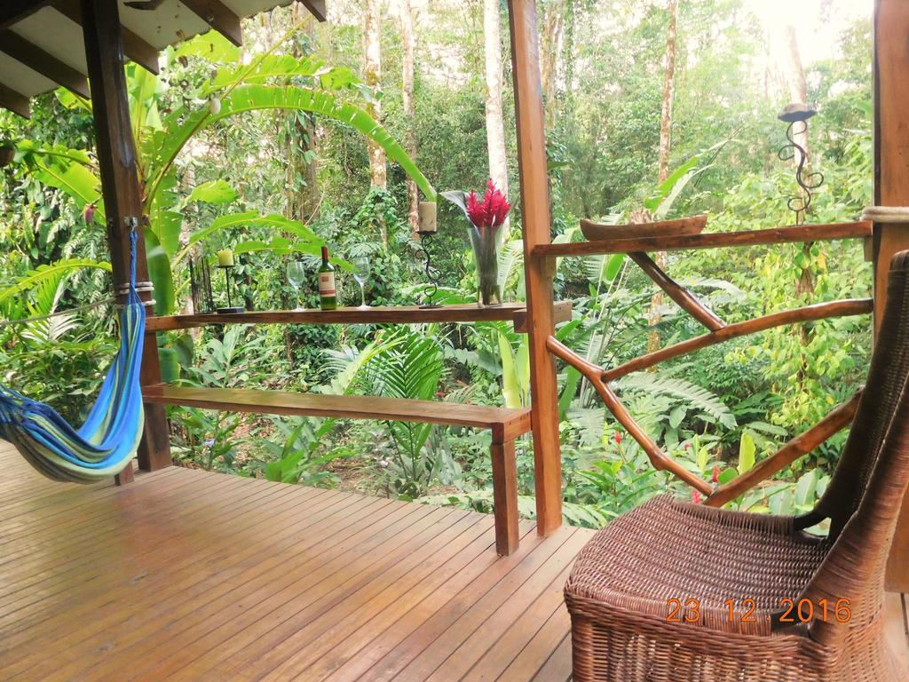 Casa Lina Sloth View Exotic Apartment With Privat Kitchen Puerto Viejo de Talamanca Eksteriør bilde