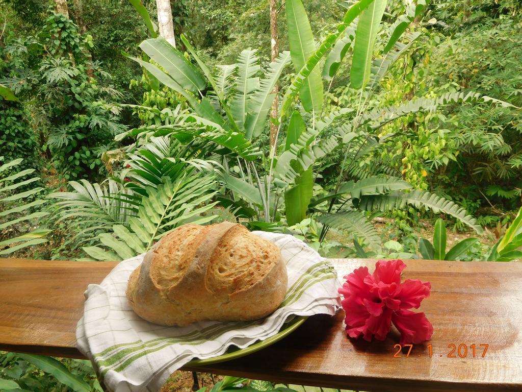 Casa Lina Sloth View Exotic Apartment With Privat Kitchen Puerto Viejo de Talamanca Eksteriør bilde