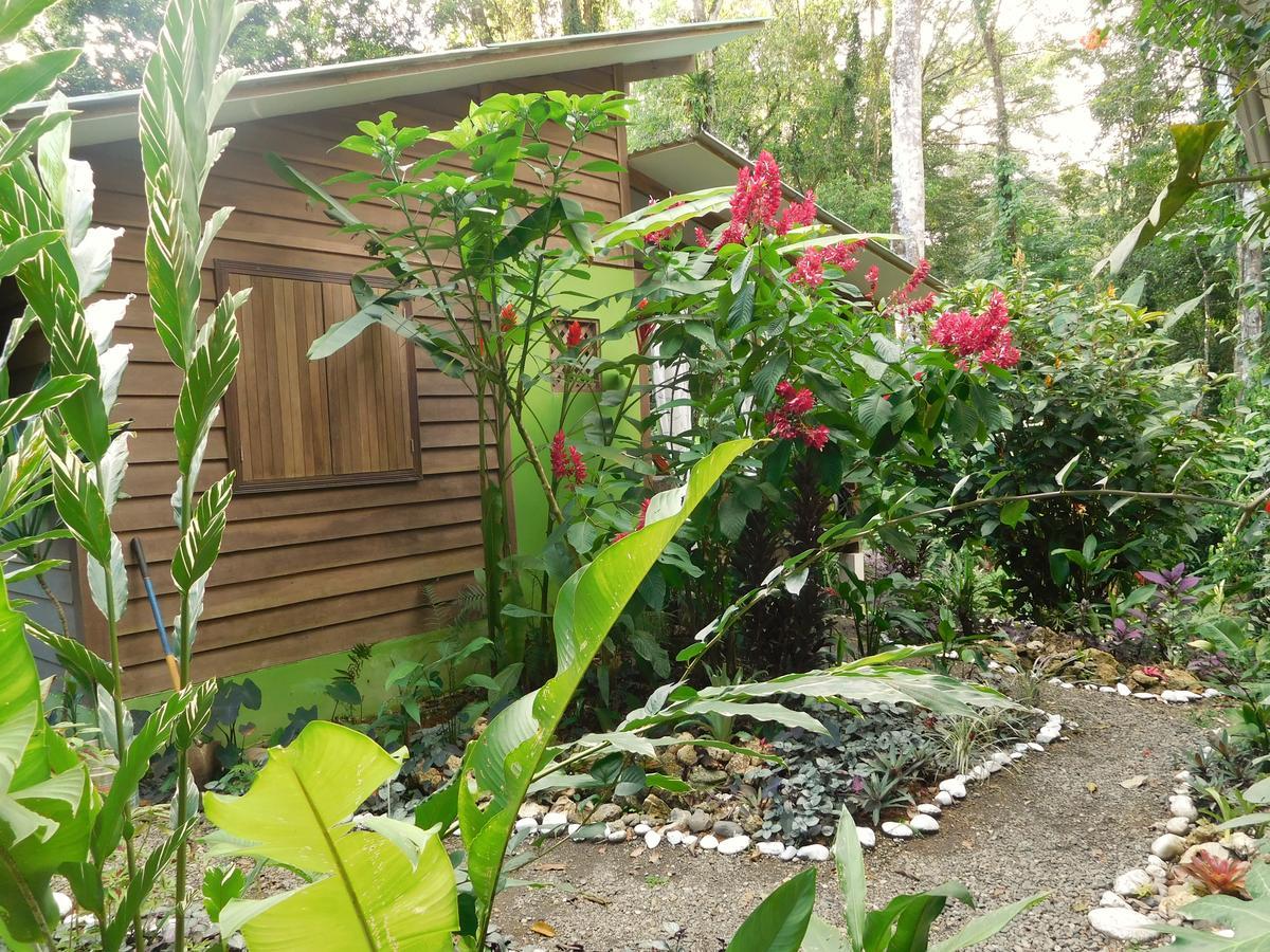 Casa Lina Sloth View Exotic Apartment With Privat Kitchen Puerto Viejo de Talamanca Eksteriør bilde