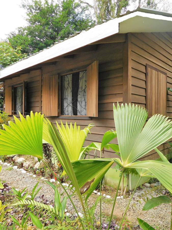 Casa Lina Sloth View Exotic Apartment With Privat Kitchen Puerto Viejo de Talamanca Eksteriør bilde